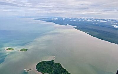 DÉMANTÈLEMENT DE SOURCE RADIOACTIVE EN GUYANE